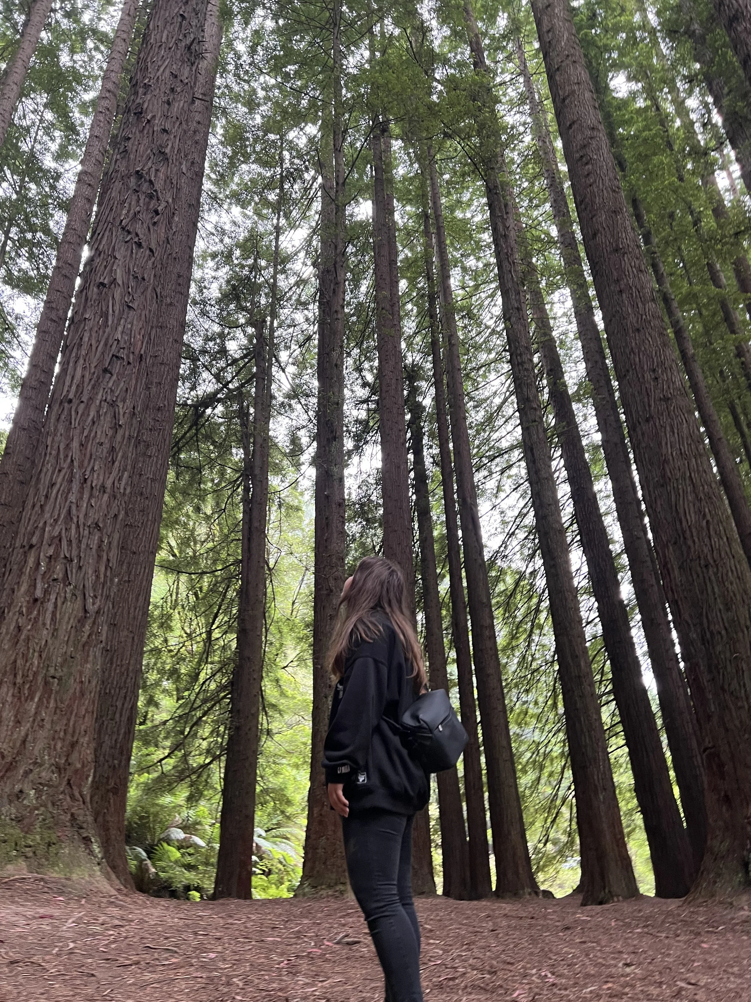 A person with long hair, wearing a black jacket and carrying a backpack, stands in a forest with tall trees and green foliage overhead.