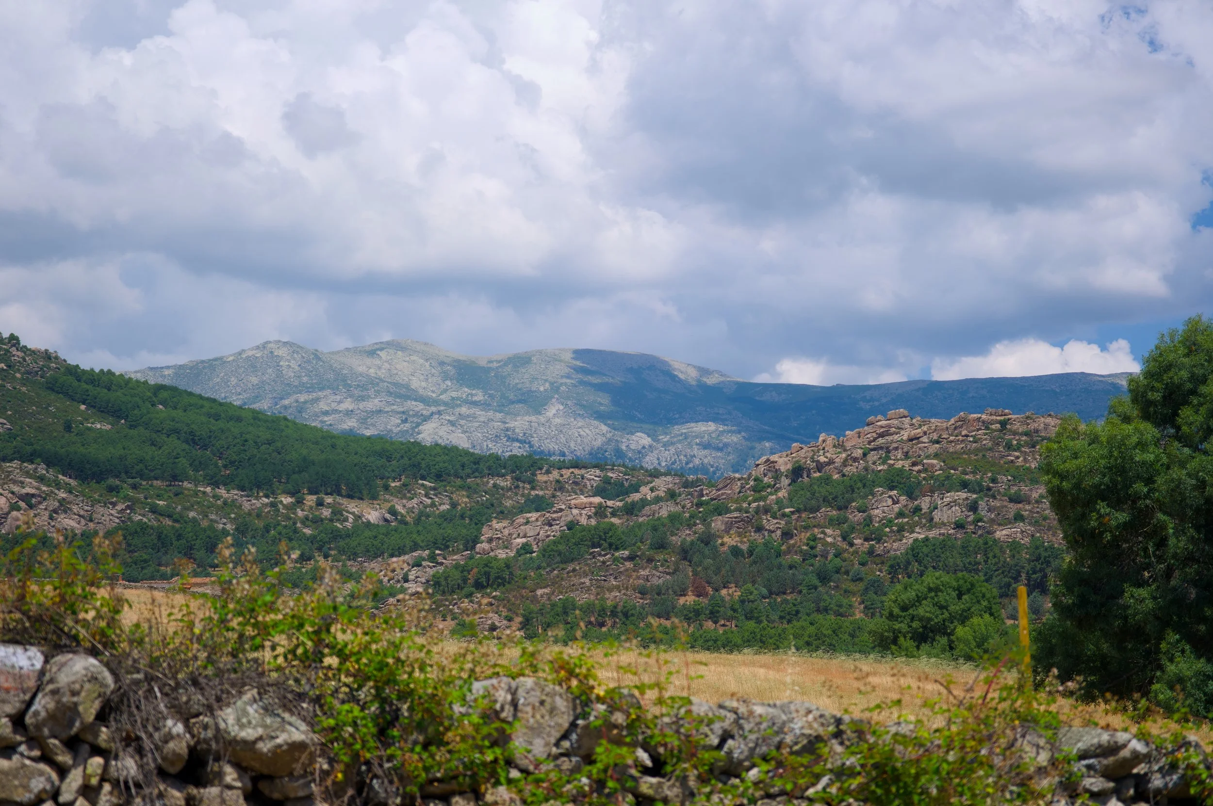 DSCF0610.jpg