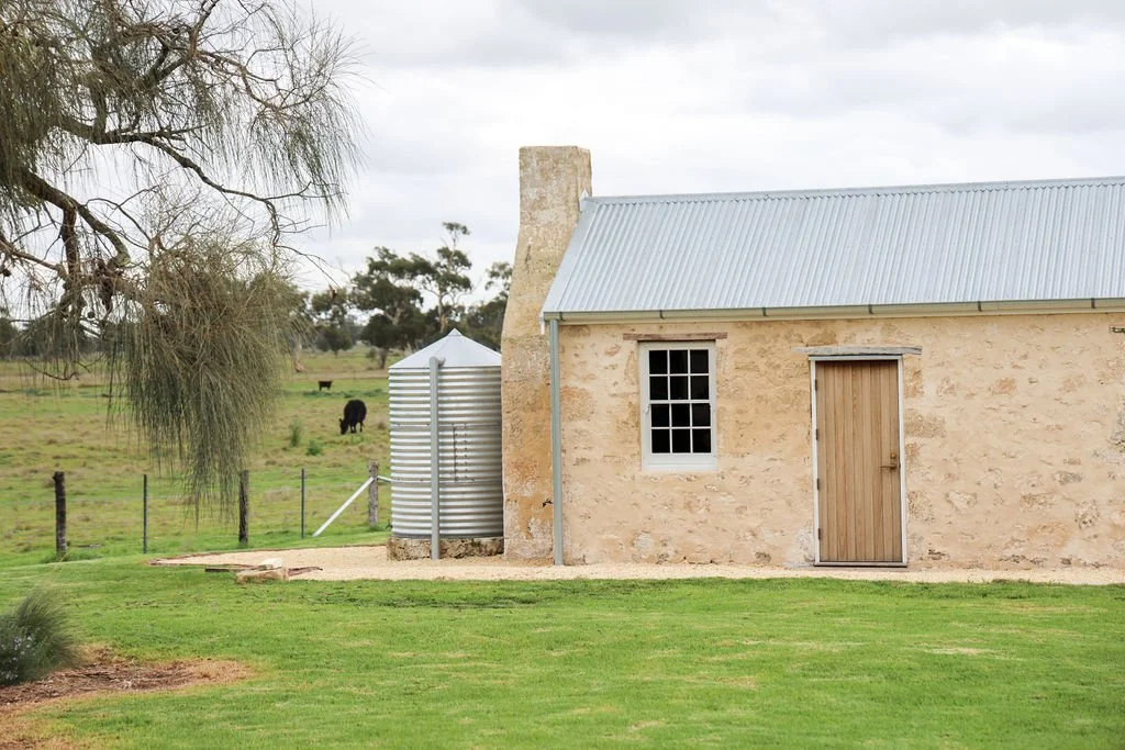 A countryside stone house with a metal roof, a small window, and a wooden door. There is a metal water tank and a tree on the left, with a grassy field and cows in the background.