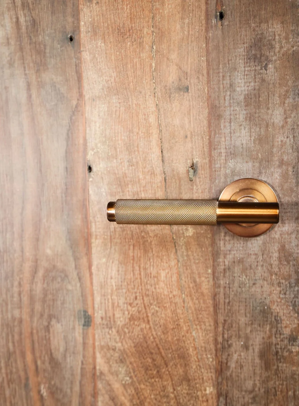 Close-up of a metallic door handle mounted on a wooden door.