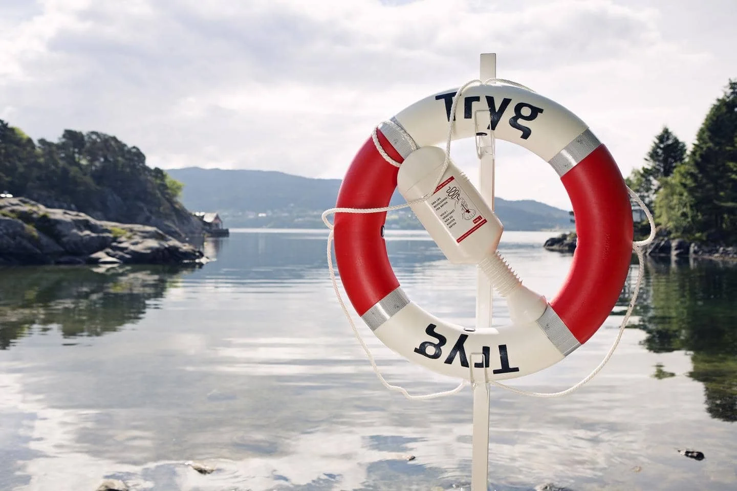 Tryg: Creating a Strategic House that translates Purpose into Action