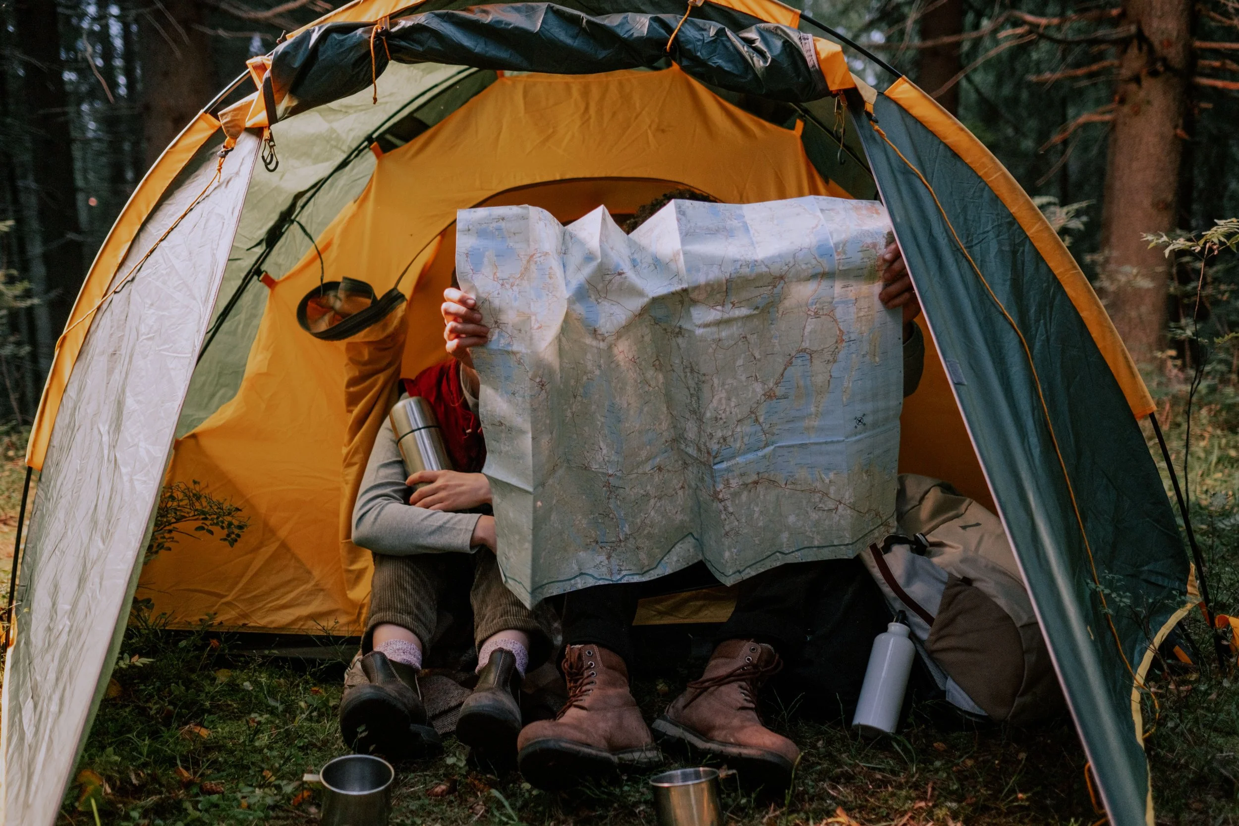 The New Traveller