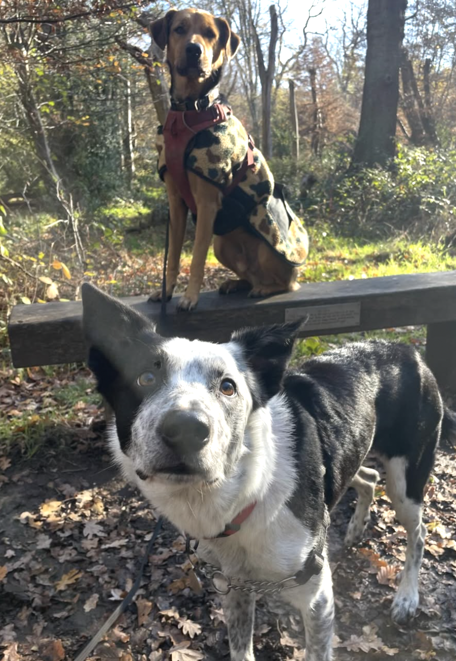 Screenshot 2026-02-15 at 19.04.41.png