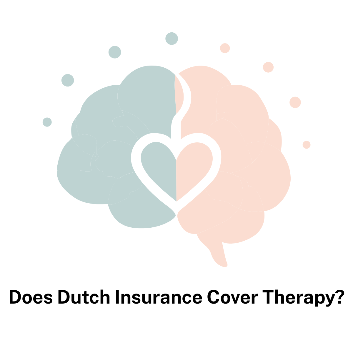 Does Dutch Health Insurance Cover Therapy With a Private-Pay Counselor?