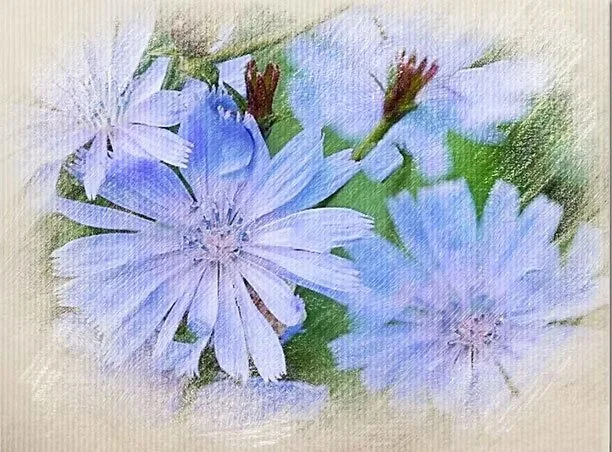Watercolor painting of blue flowers with green leaves and two small buds.
