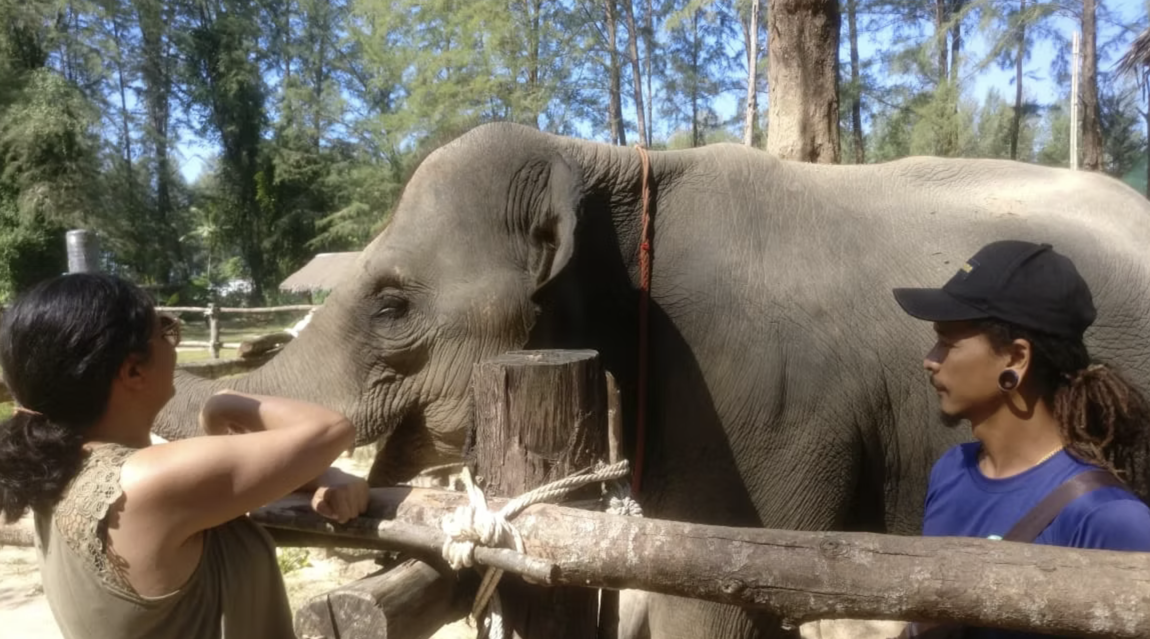 Elephants at Khao Lak Sanctuary