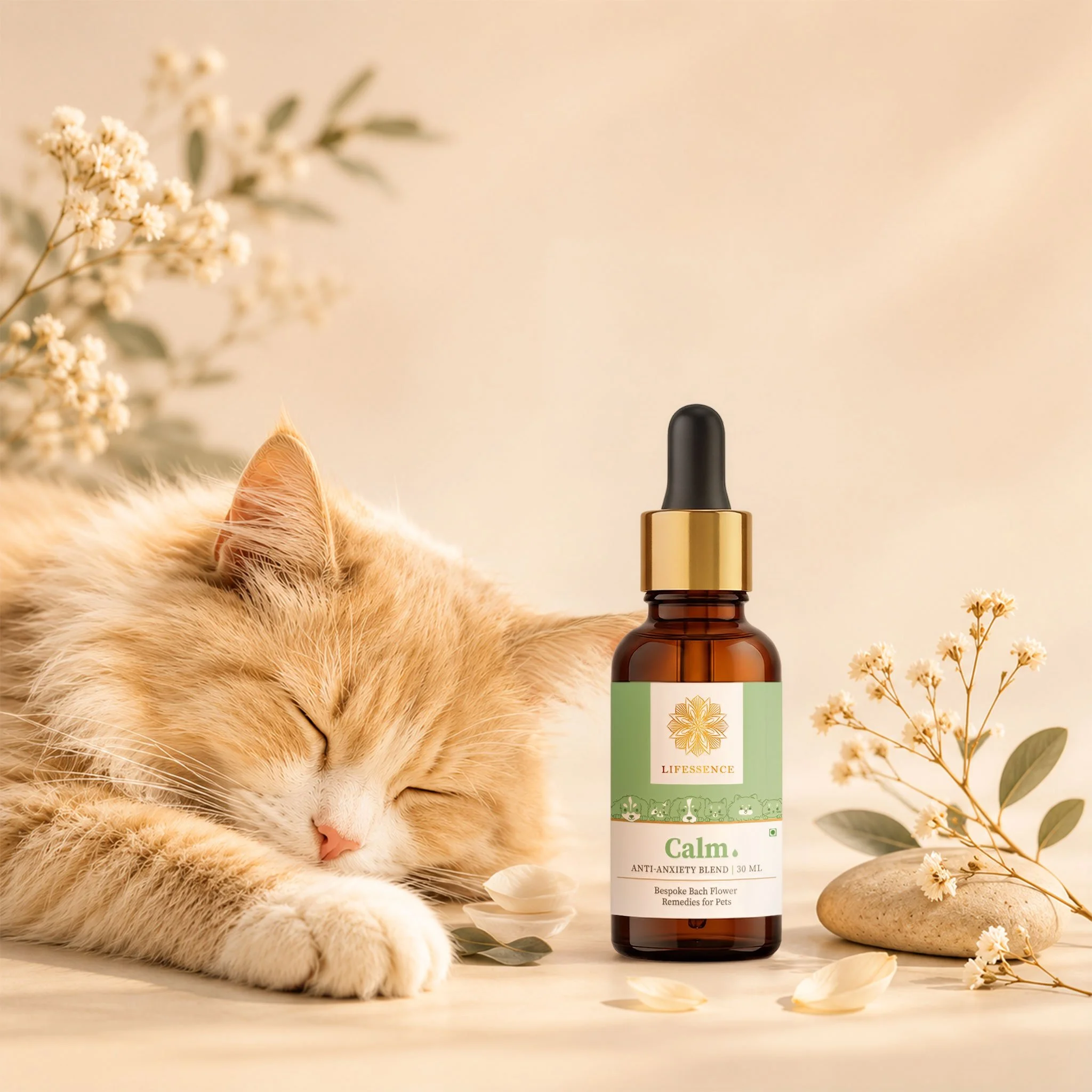 1-Calm-30ml_V4.jpg
