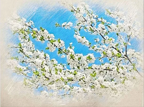 Watercolor painting of white flowering cherry blossom branches against a blue sky background.