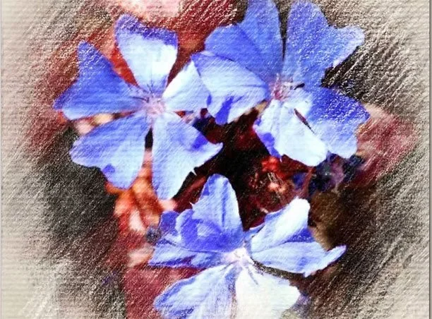 Close-up of blue flowers with textured, painterly effect.