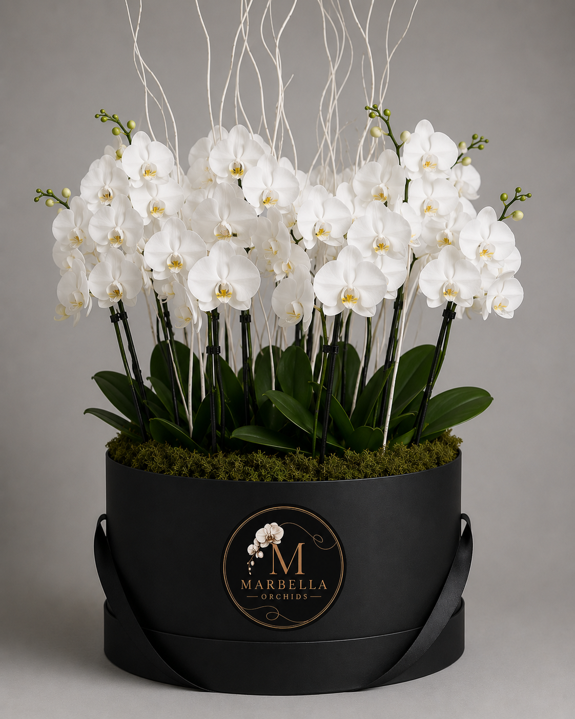 Imperial Arrangement