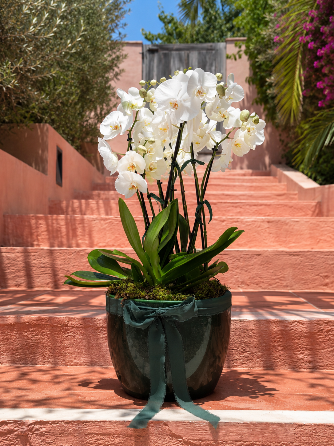 Classic Arrangement