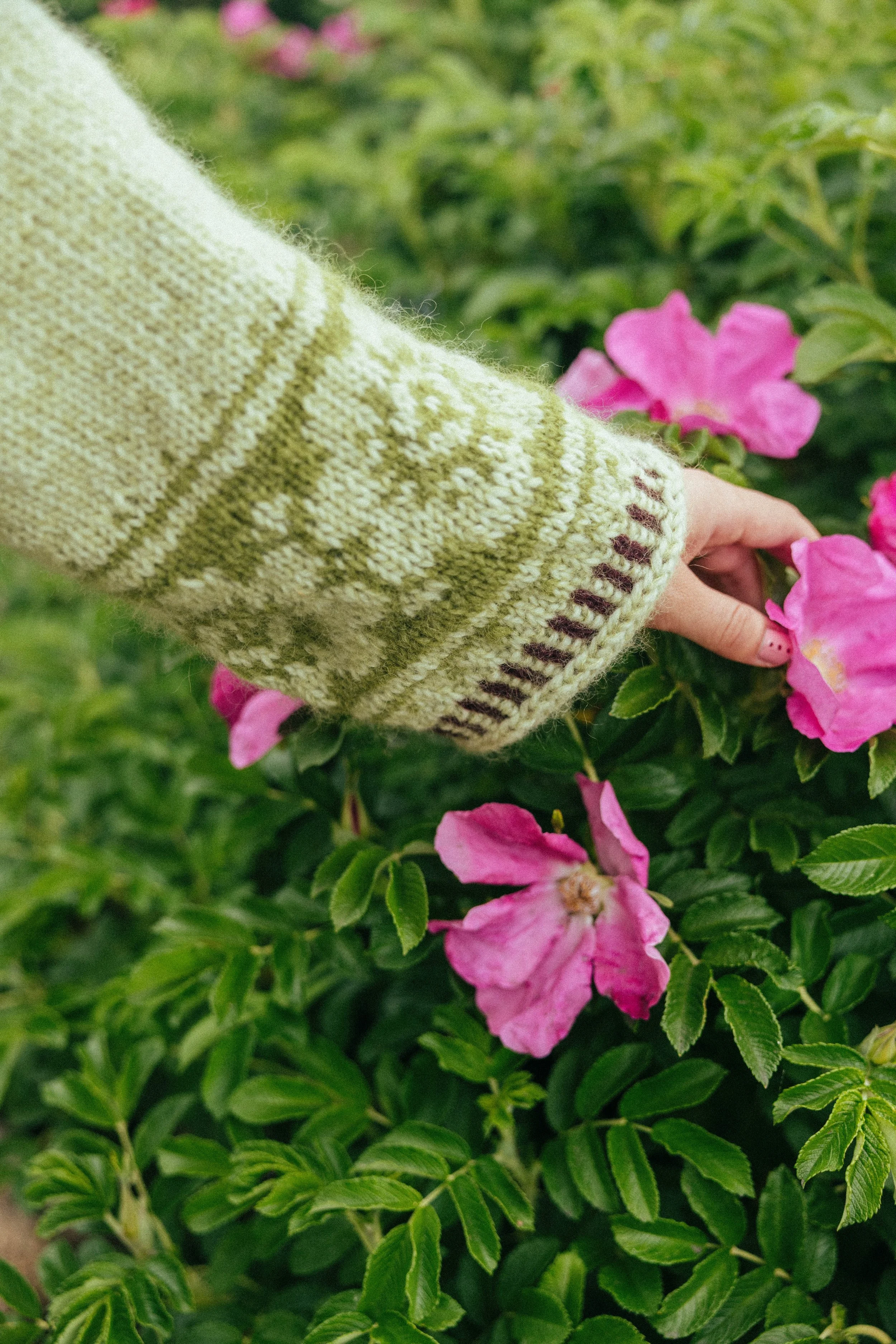 finiknits - shoot d.1.6.2026 (103 of 119).jpg