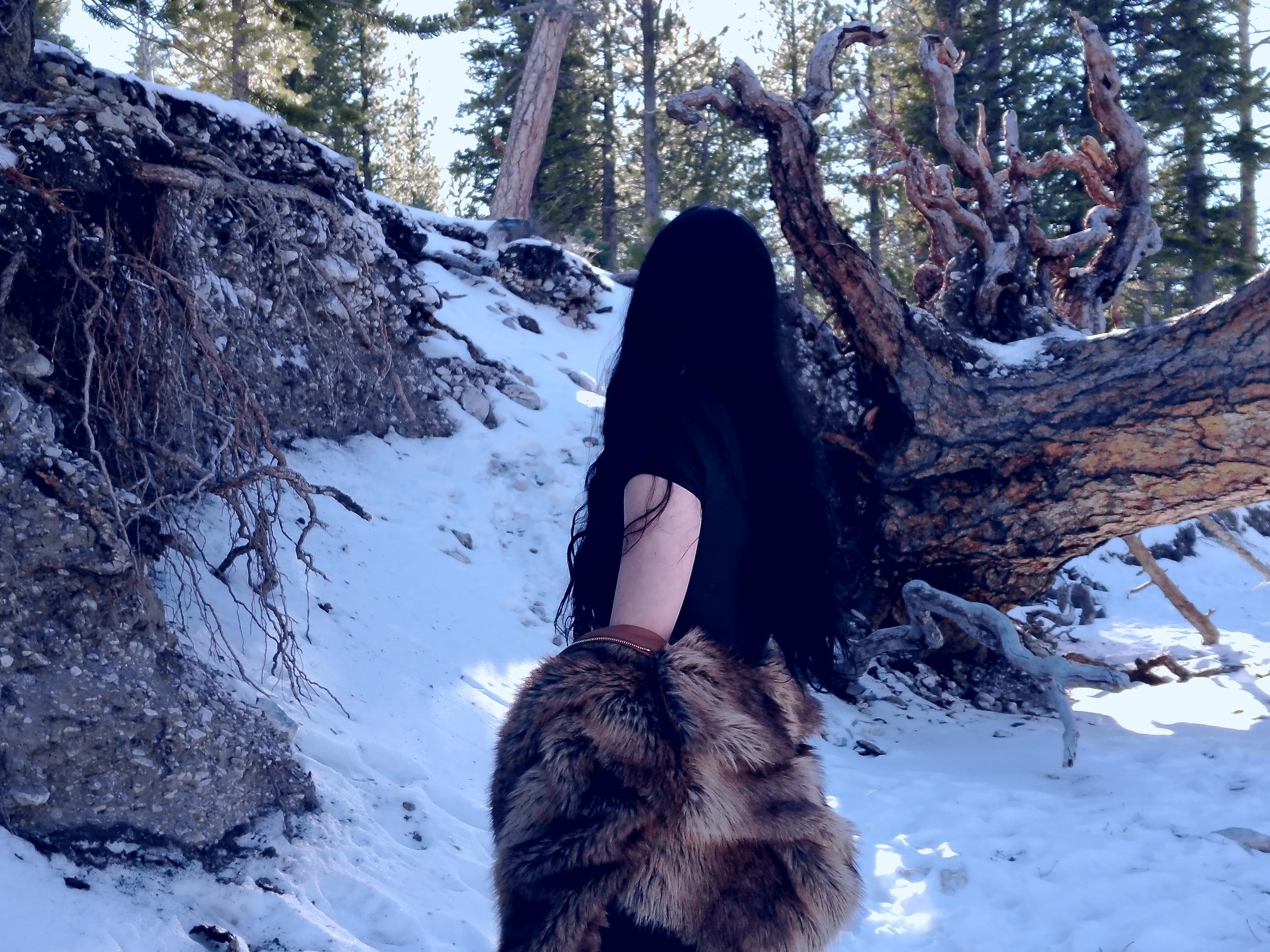 nicole by me in january 2026