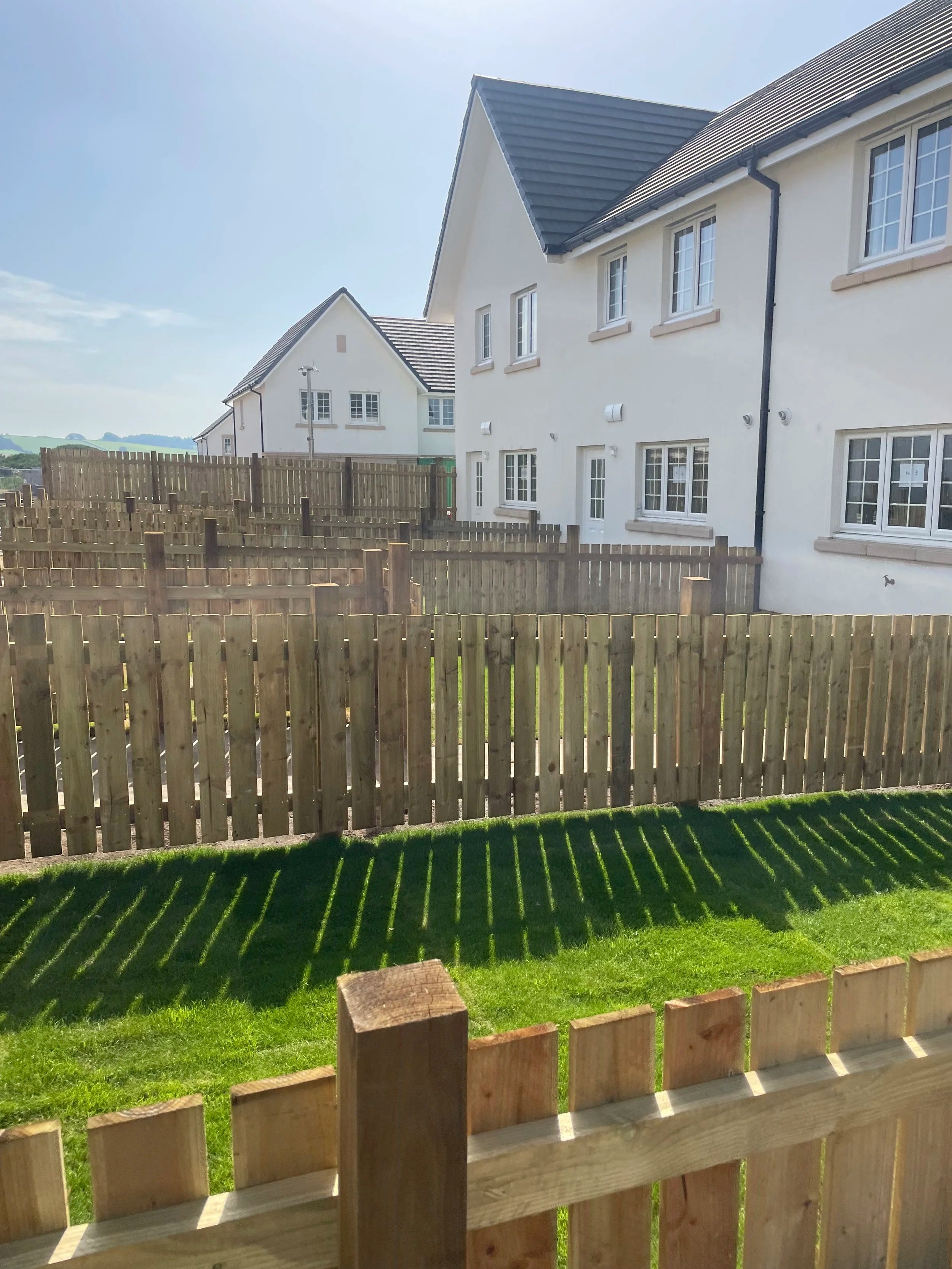 A backyard with a wooden fence, green grass, and white houses with grey roofs under a sunshine sky.