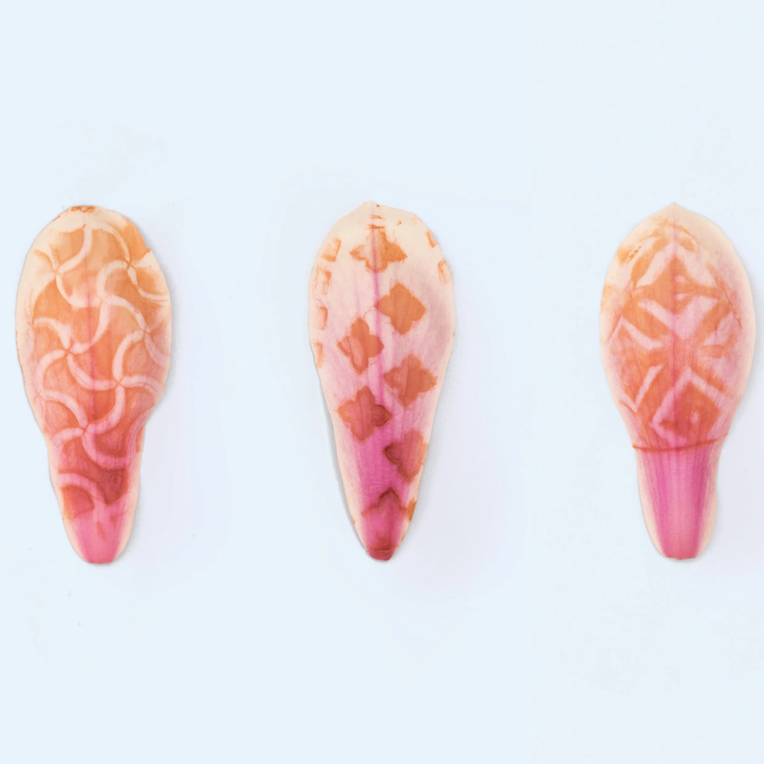 These 11 images compare iconic shoes to their prints on fallen magnolia petals