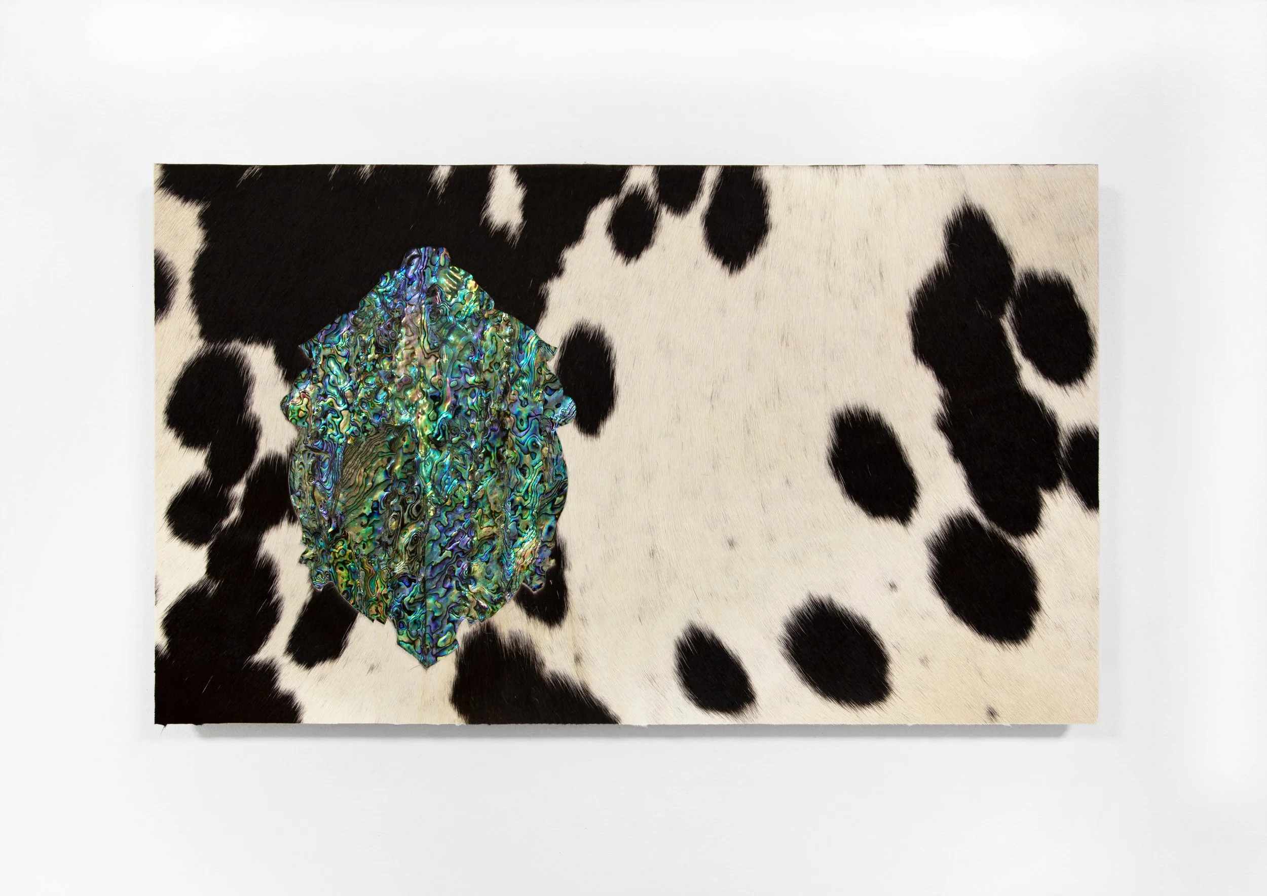 A sort of grey, 2025. 30x65cm. Paua shell and cow hide