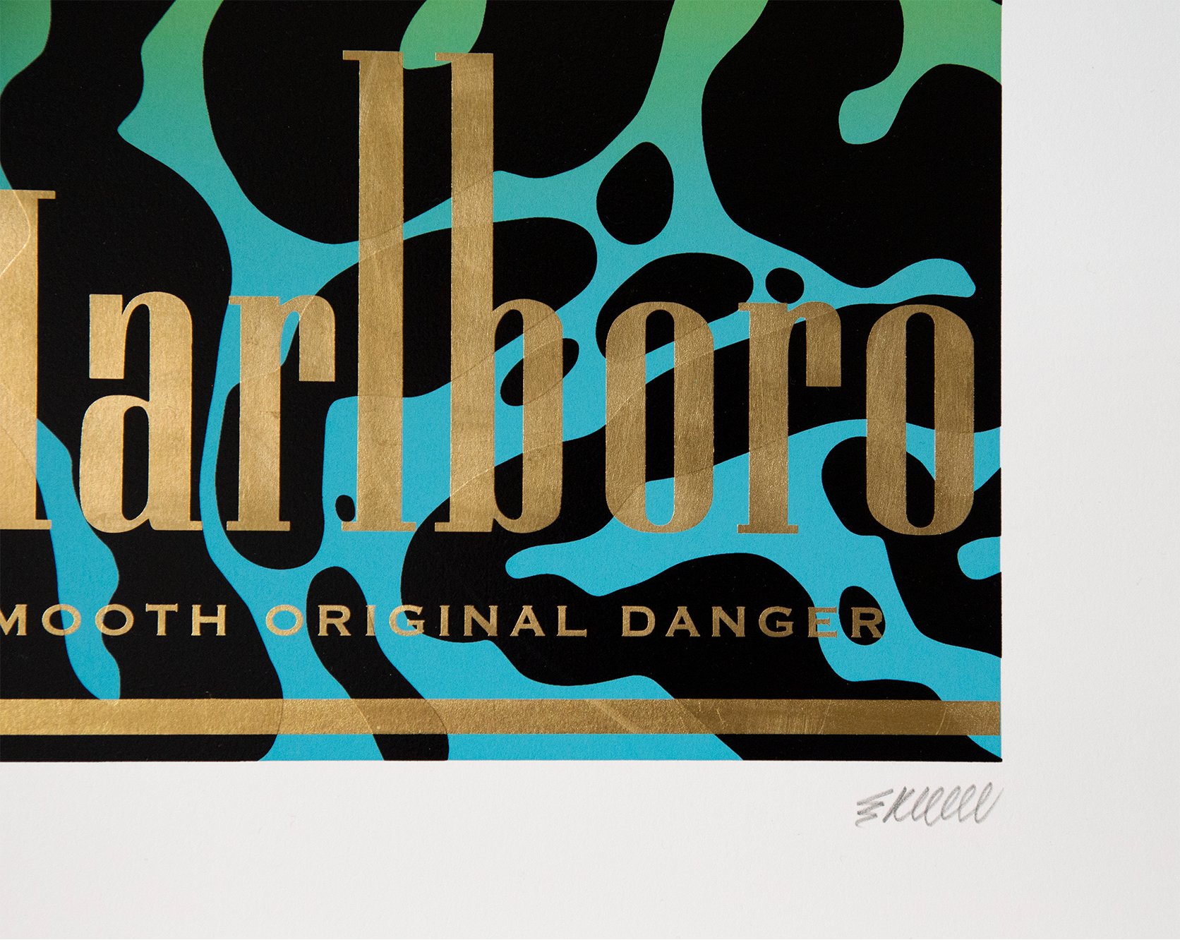 Scott_Kelly_Danger_detail_hand pulled screen print series.png
