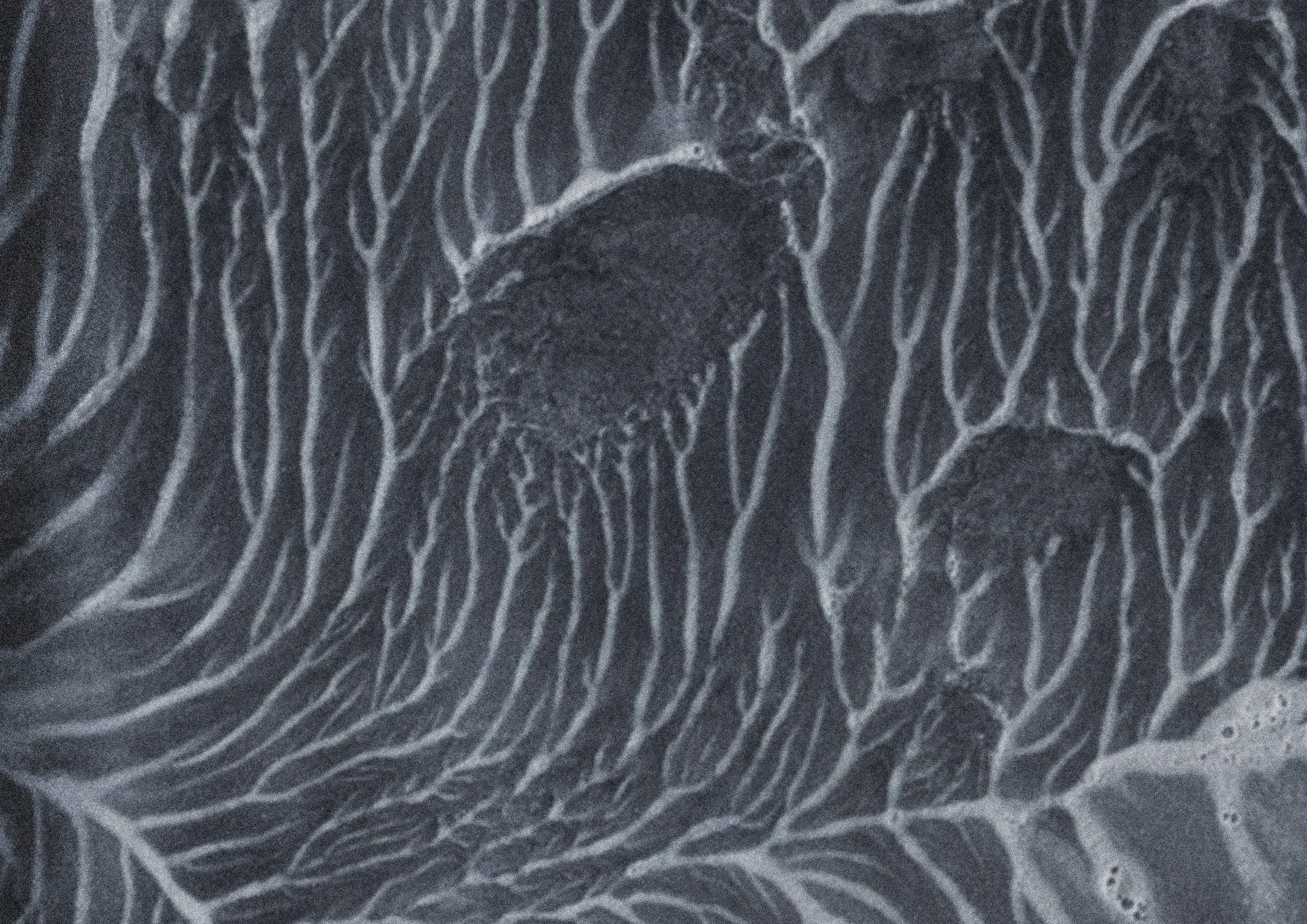 Breathe, work III (detail), 2025