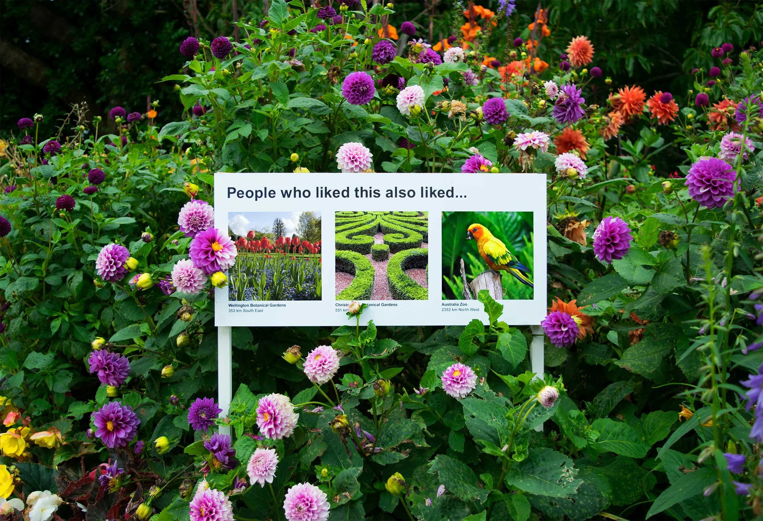 Signs of the Times - "Flowers", 2017. Various locations, New Zealand
