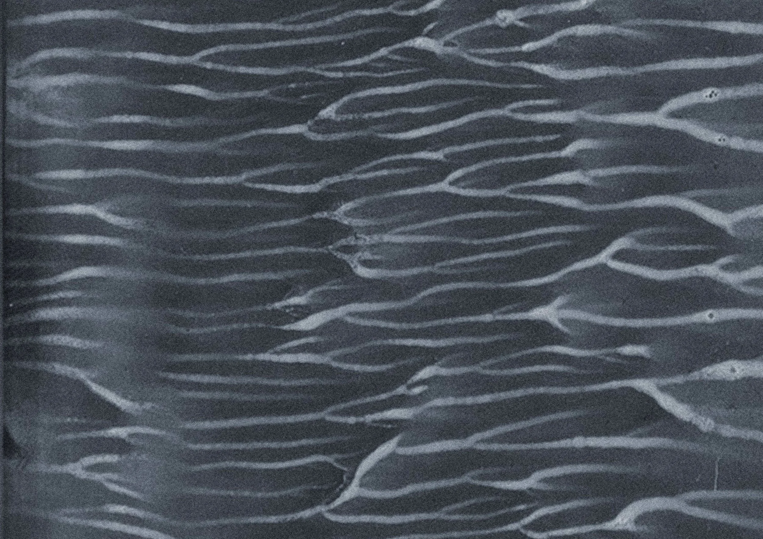Breath,Work III, 2025 (detail)