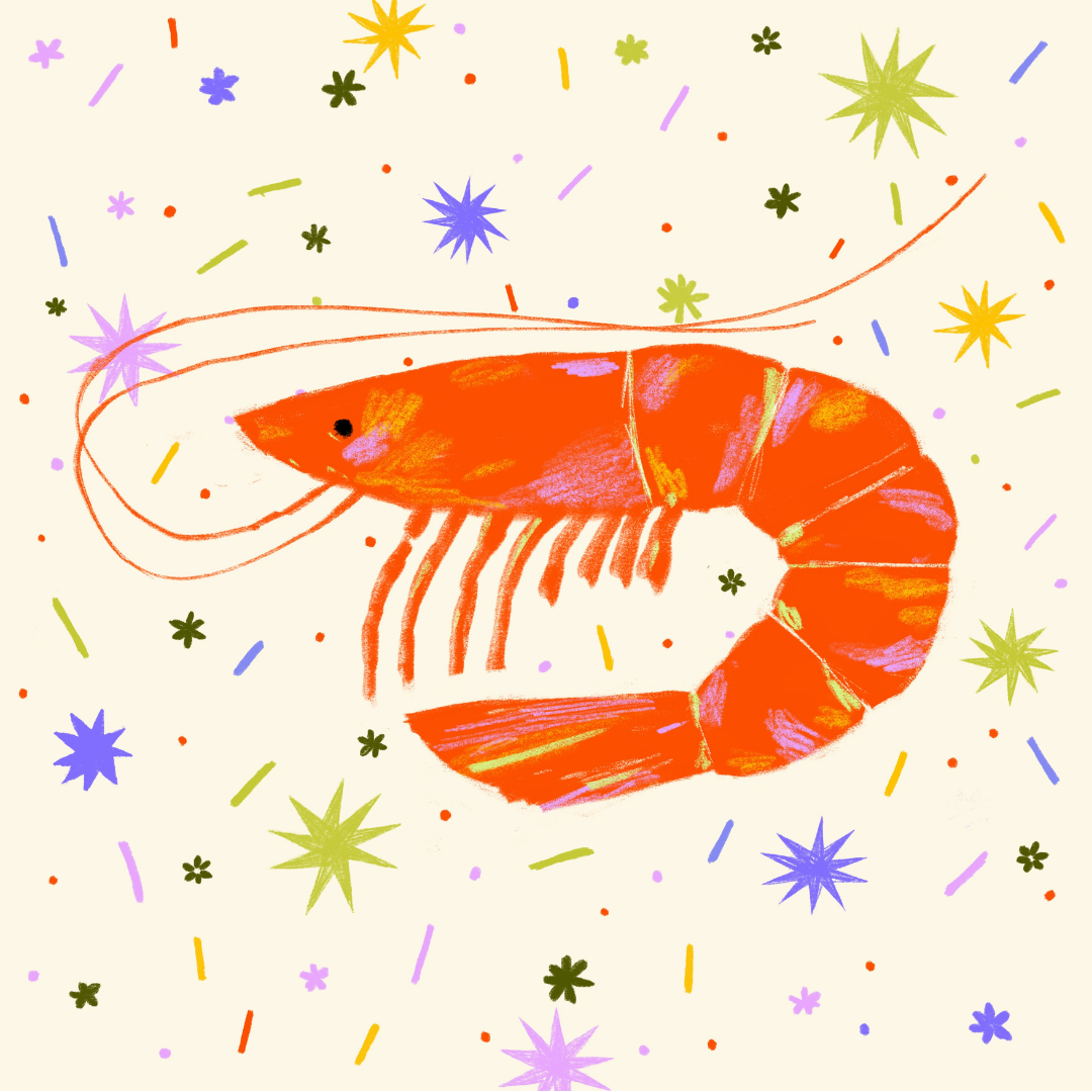 shrimp.png