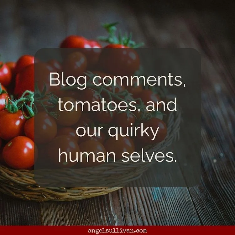 Image of ripe tomatoes in basket. Says "Blog comments, tomatoes, and our quirky human selves."