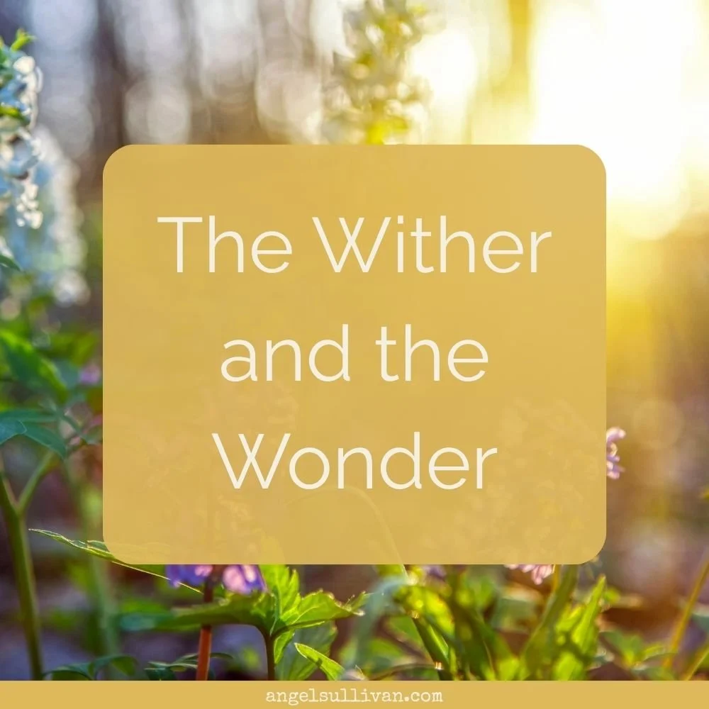 The Wither and the Wonder