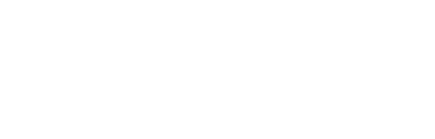 Progression Leadership Coaching