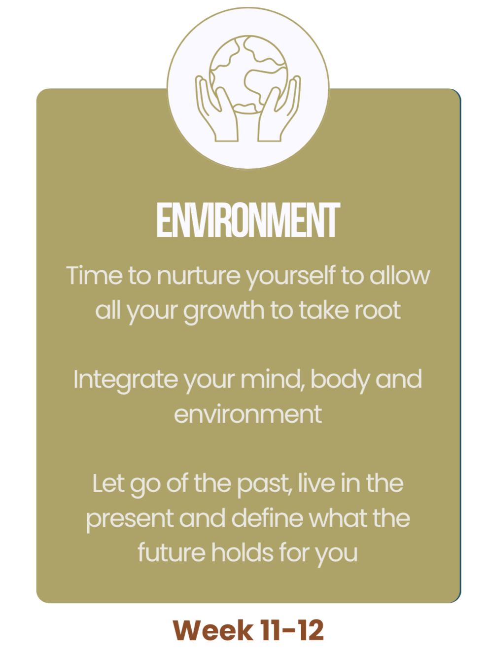 A graphic with an icon of hands holding the Earth at the top. The text reads: "ENVIRONMENT. Time to nurture yourself to allow all your growth to take root. Integrate your mind, body and environment. Let go of the past, live in the present and define what the future holds for you." At the bottom, it says: "Week 11-12."