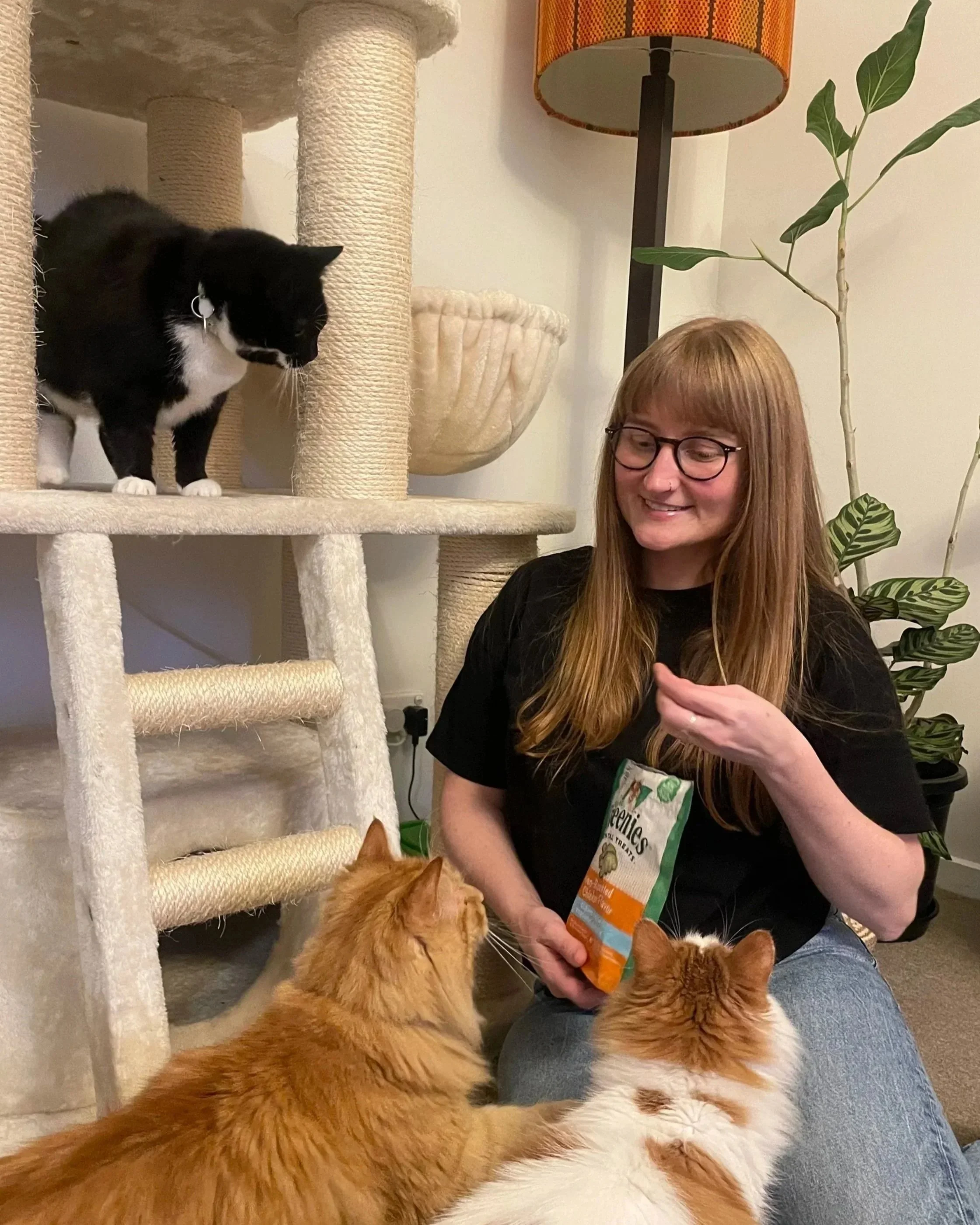 A woman with glasses smiling, sitting on the floor, giving treats to three cats, with one cat on her lap and two on the floor, and a black and white cat on a cat tree nearby.