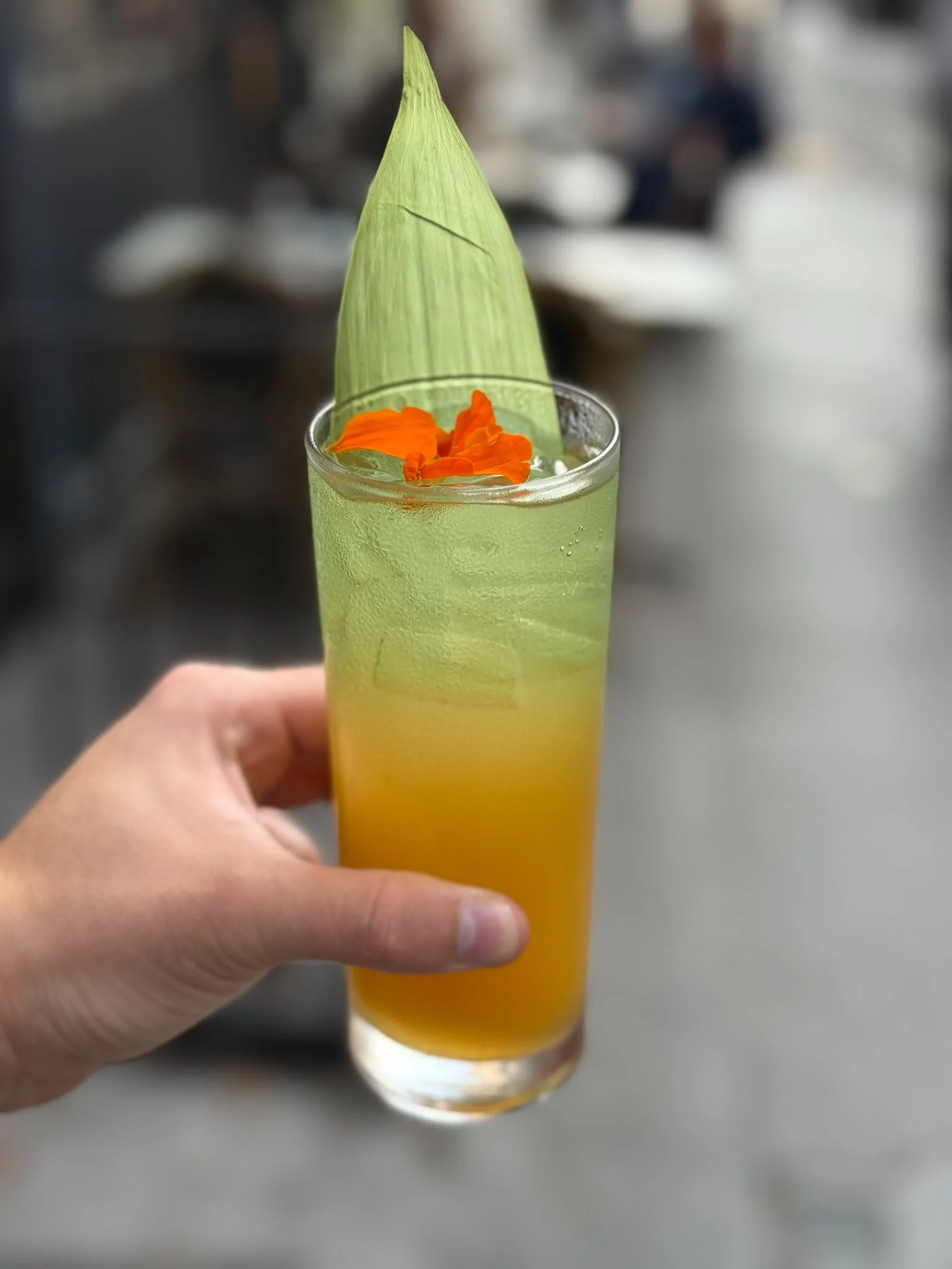 Koyo Sour: A Taste of Autumn at Sushi Atelier