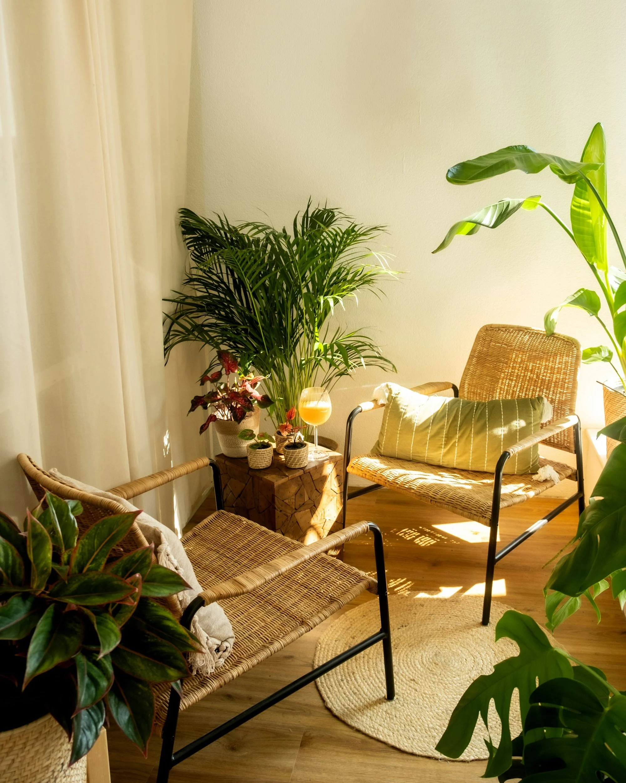Corner of a room with green potted plants, wicker chairs, and a glass of orange juice on a small wooden table. Light-colored curtains are on the left side, and sunlight streams onto the wooden floor. Phone and Online Counsellor in Yorkshire and UK