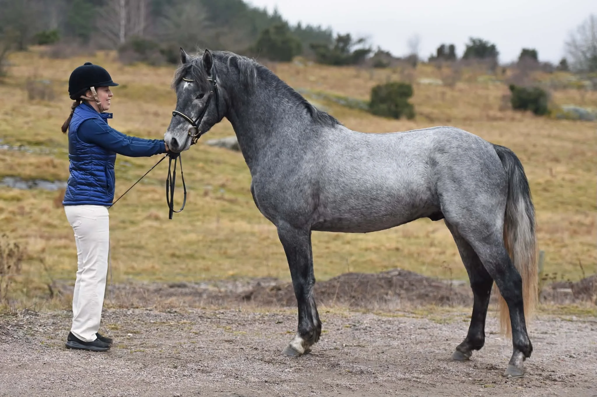Iremålas Boss