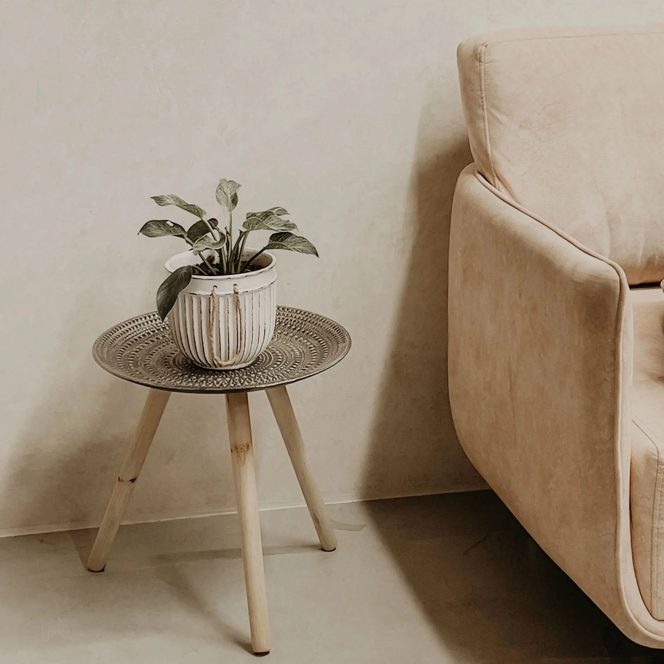 A beige sofa next to a small round table with a potted houseplant on top.