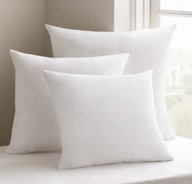 Quince 20x20 Premium Feather Pillow Insert