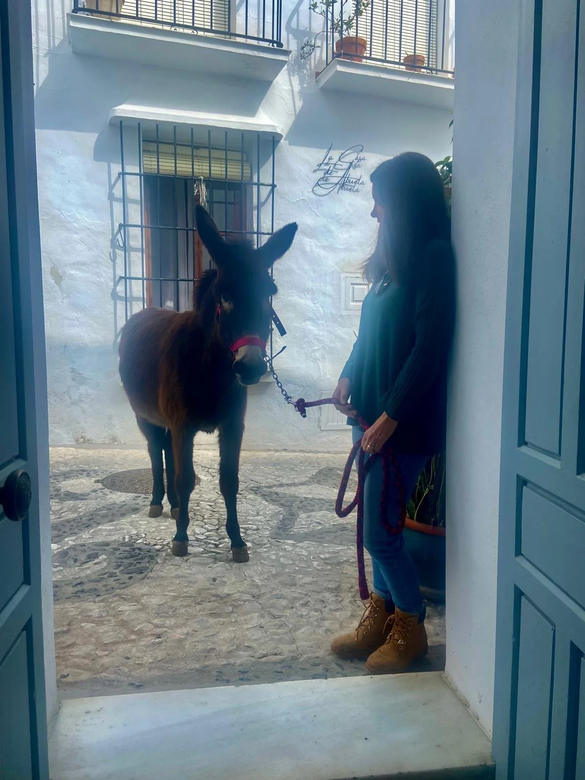A woman is standing in an open doorway holding a leash attached to a small donkey. The scene is in front of the boutique hotel with white walls and potted plants on a balcony above.