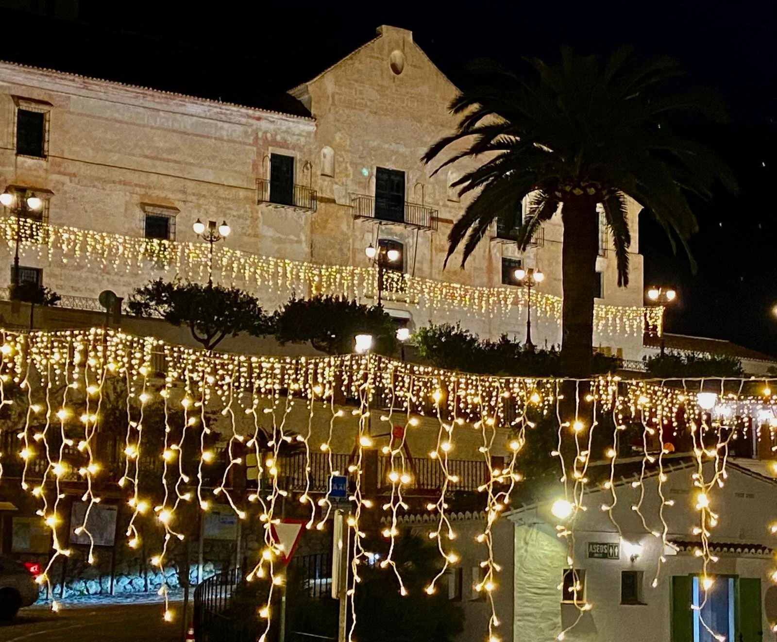 Nighttime view of the historic cane syrup factory building with festive string lights and a large palm tree in the foreground.