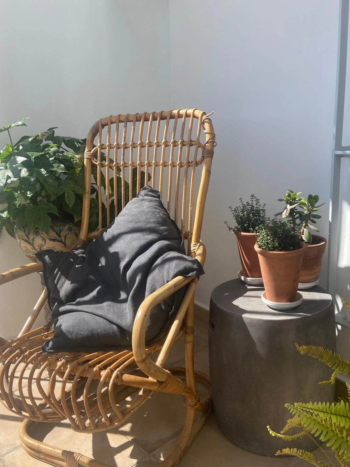 A wicker chair with a gray blanket draped over it, next to a round black table with three potted plants, on a balcony with sunlight.