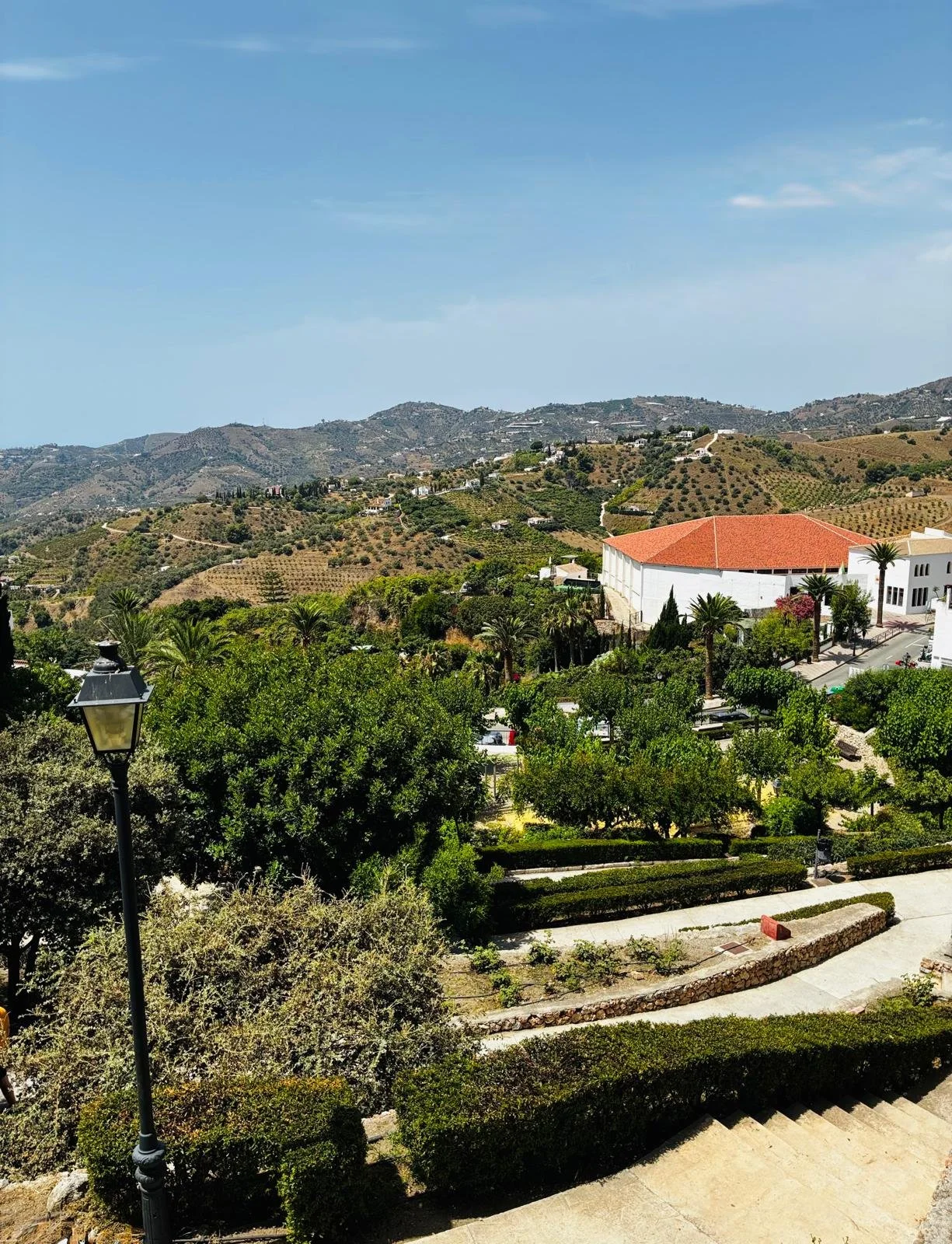 Scenic view of Frigiliana with white and red-roofed buildings, lush green trees, palm trees, and a clear blue sky.