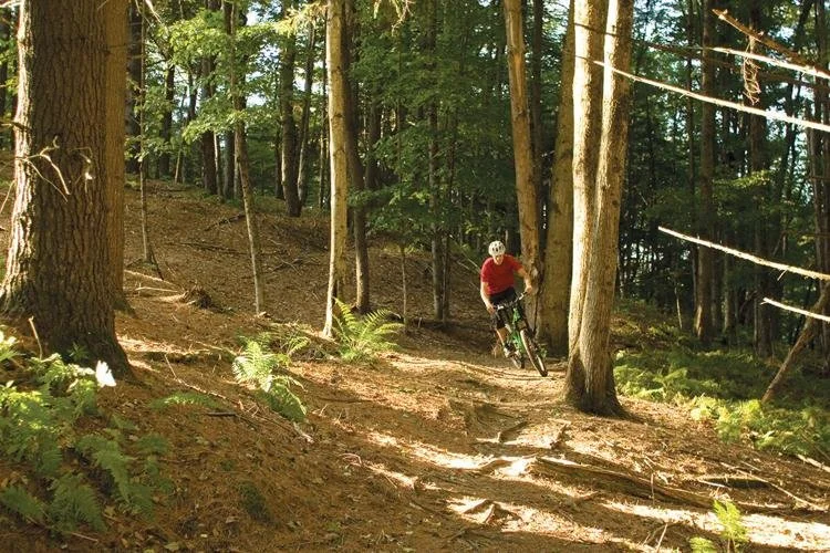 A person in a red shirt and helmet biking on a dirt trail through a forest with tall trees and green foliage.