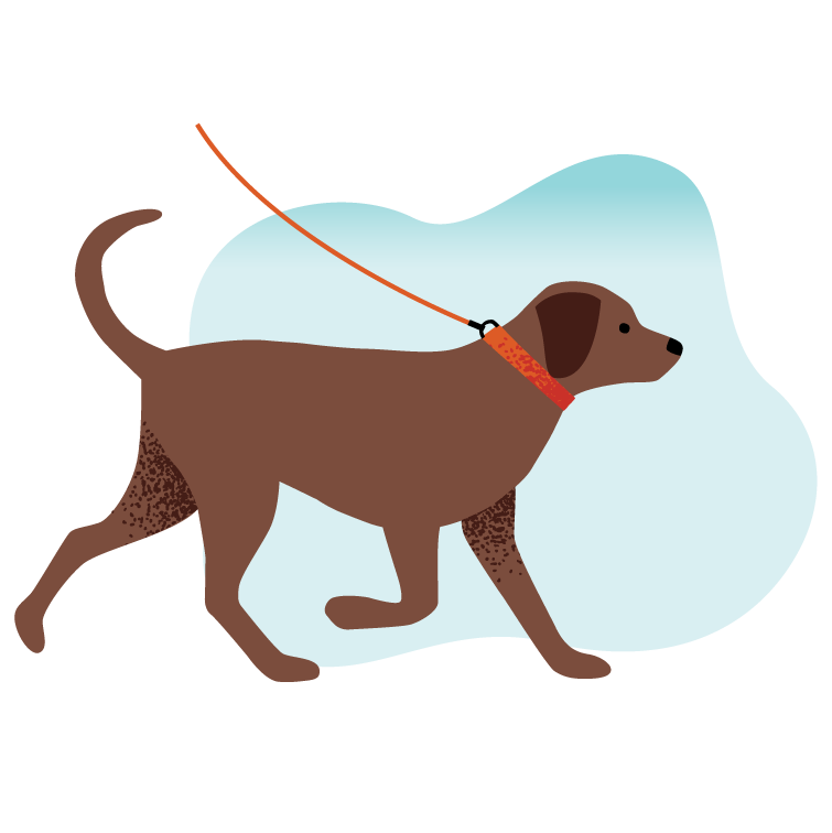 A Note About Dogs on the Path