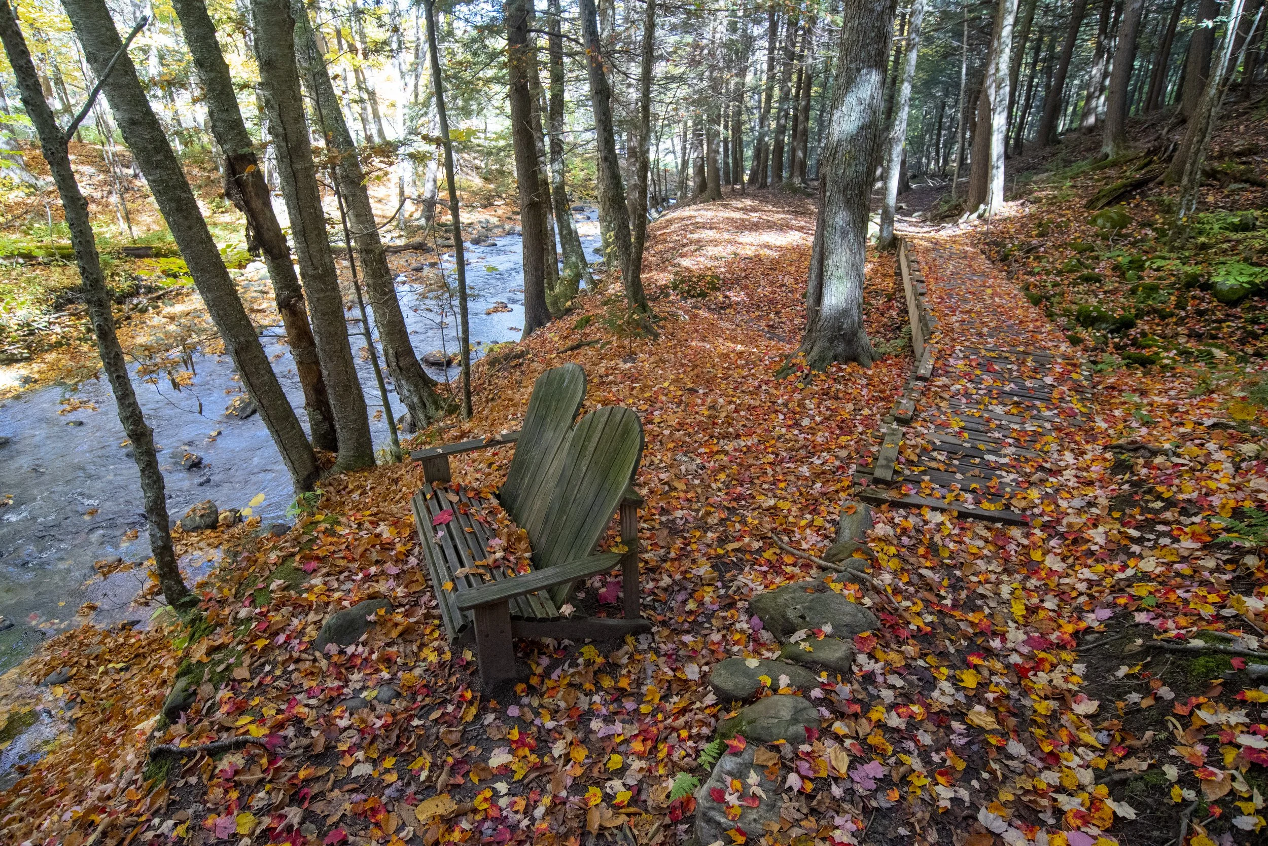 A forest scene in autumn with colorful fallen leaves covering the ground, a river flowing through the trees, a wooden bridge, and a forest bench nearby.