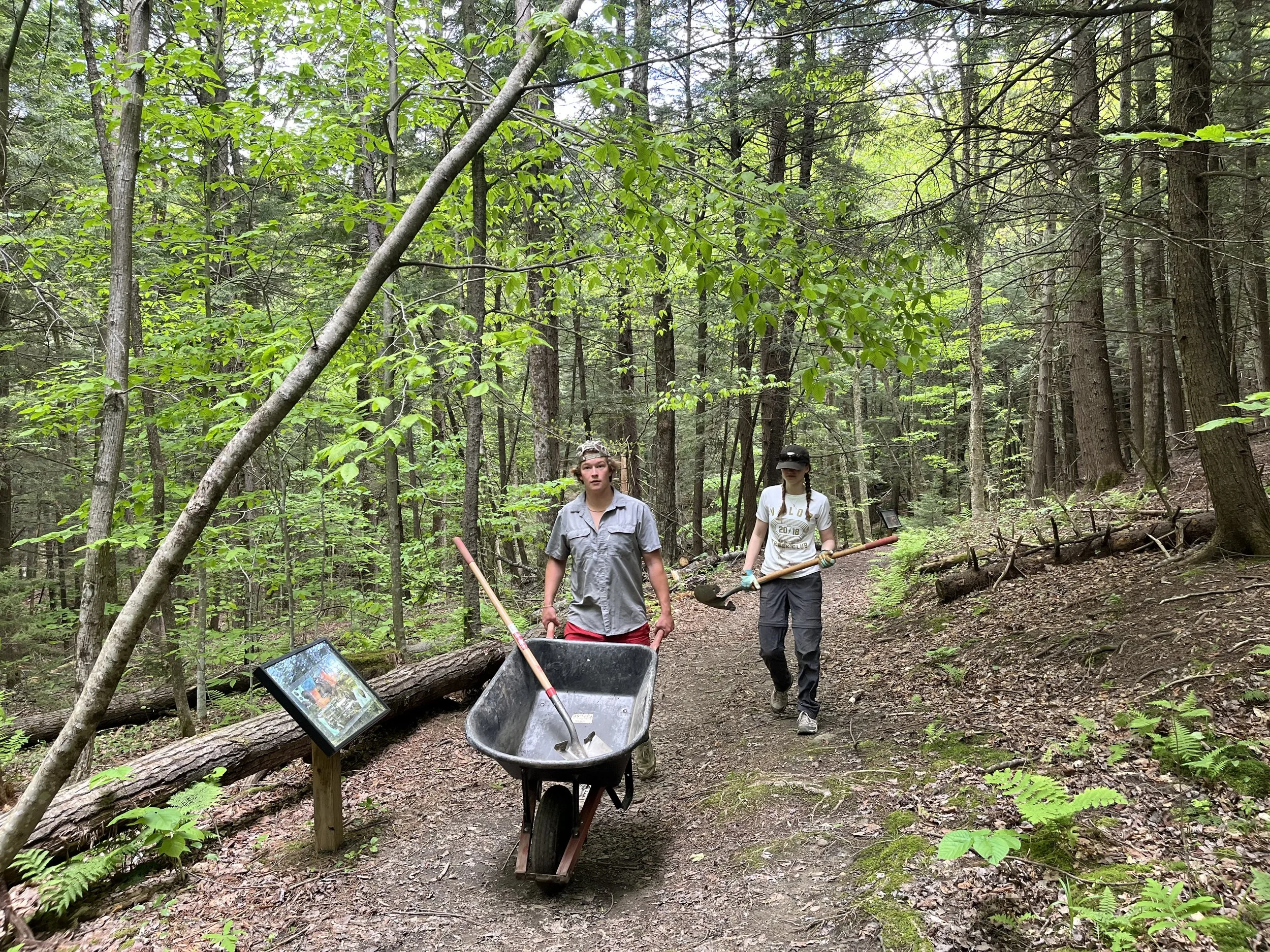 Two young people are walking along a forest trail, carrying tools for outdoor work. There is a wheelbarrow in the foreground, and a signboard on a stand near the trail. The forest is dense with green leaves and tall trees.