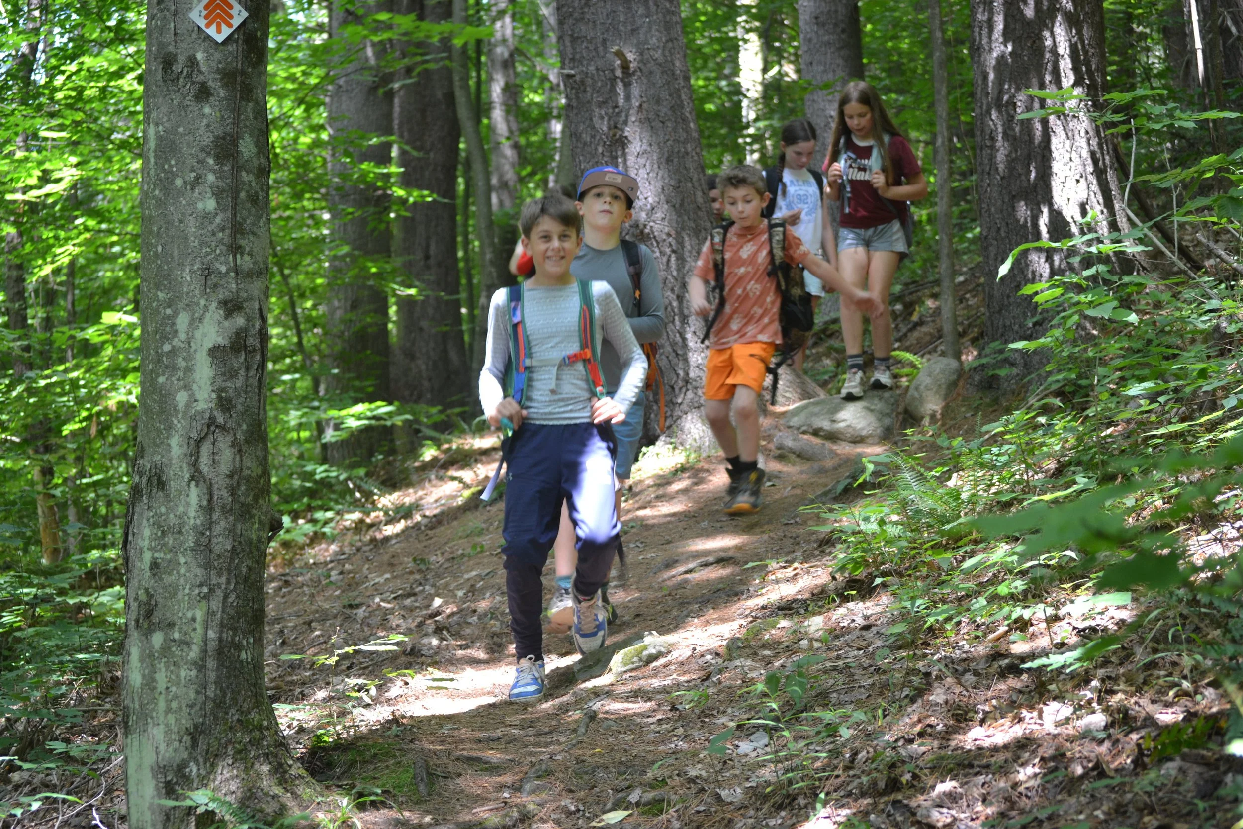 Group of children hiking on a trail through a dense green forest, some with backpacks, in sunny weather.