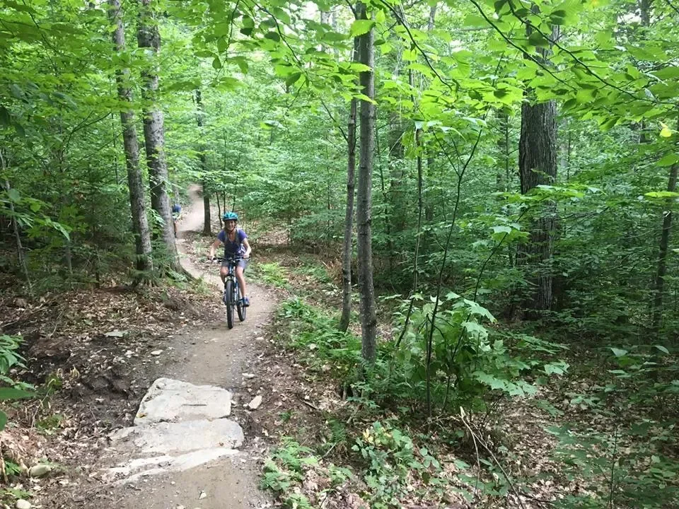 A person wearing a helmet biking on a dirt trail through a lush green forest.