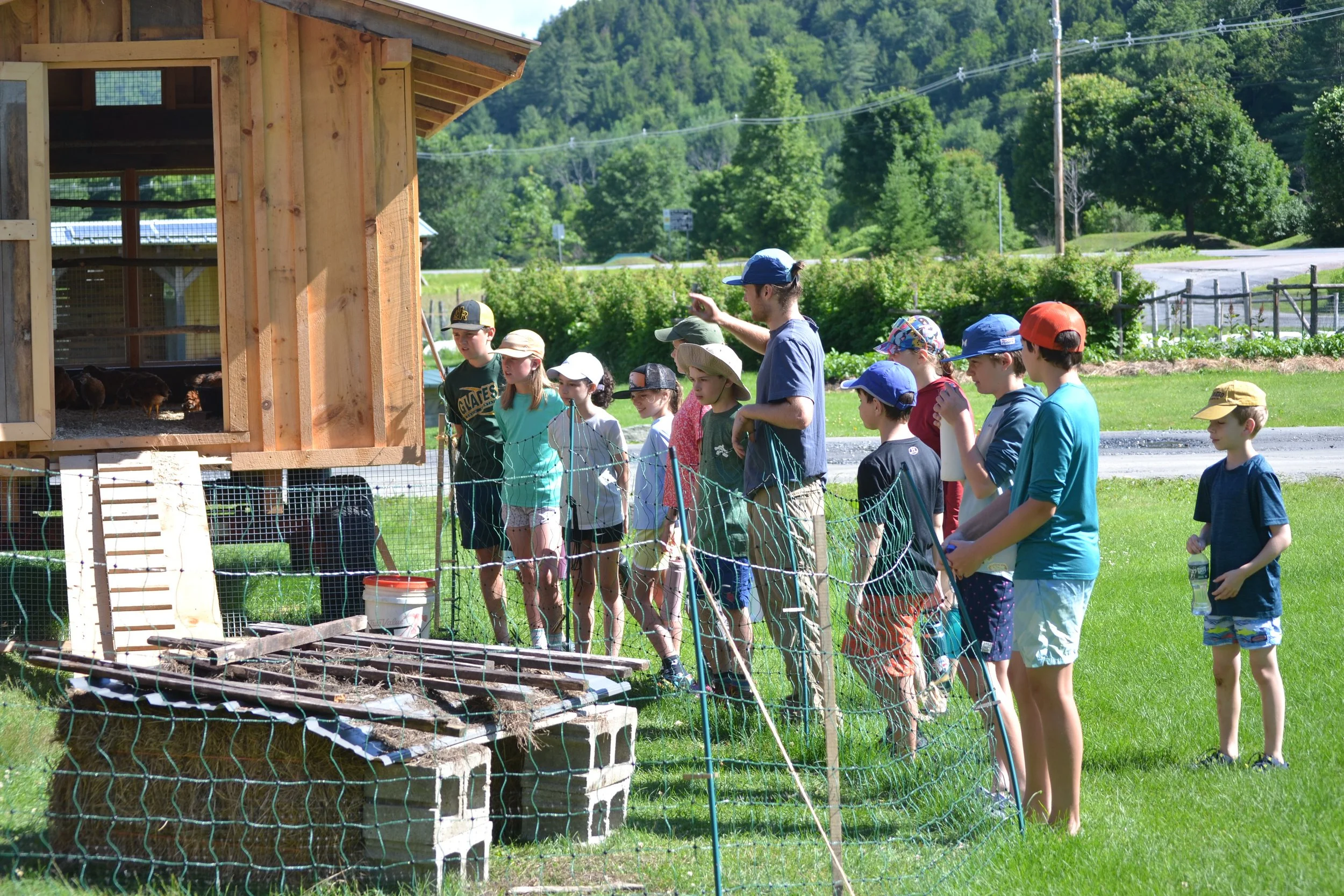 Kids and a guide observe chickens in a coop at a farm or petting zoo, surrounded by a fenced area on a grassy field with trees and hills in the background on a sunny day.