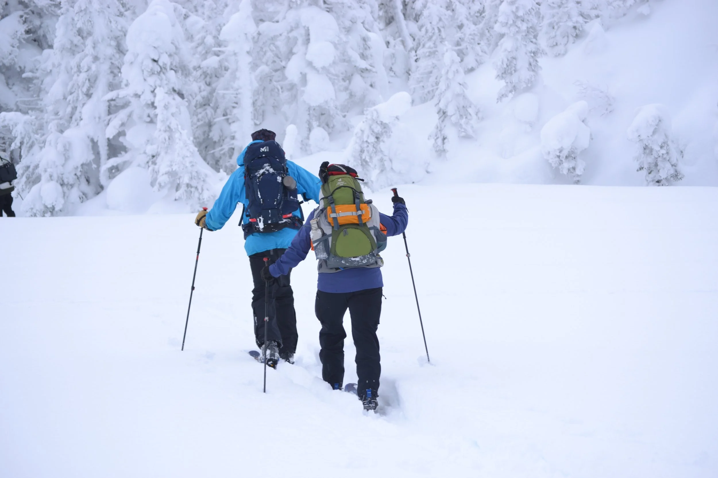 Two people dressed in winter gear and snowshoes walking through a snowy landscape with snow-covered trees in the background.