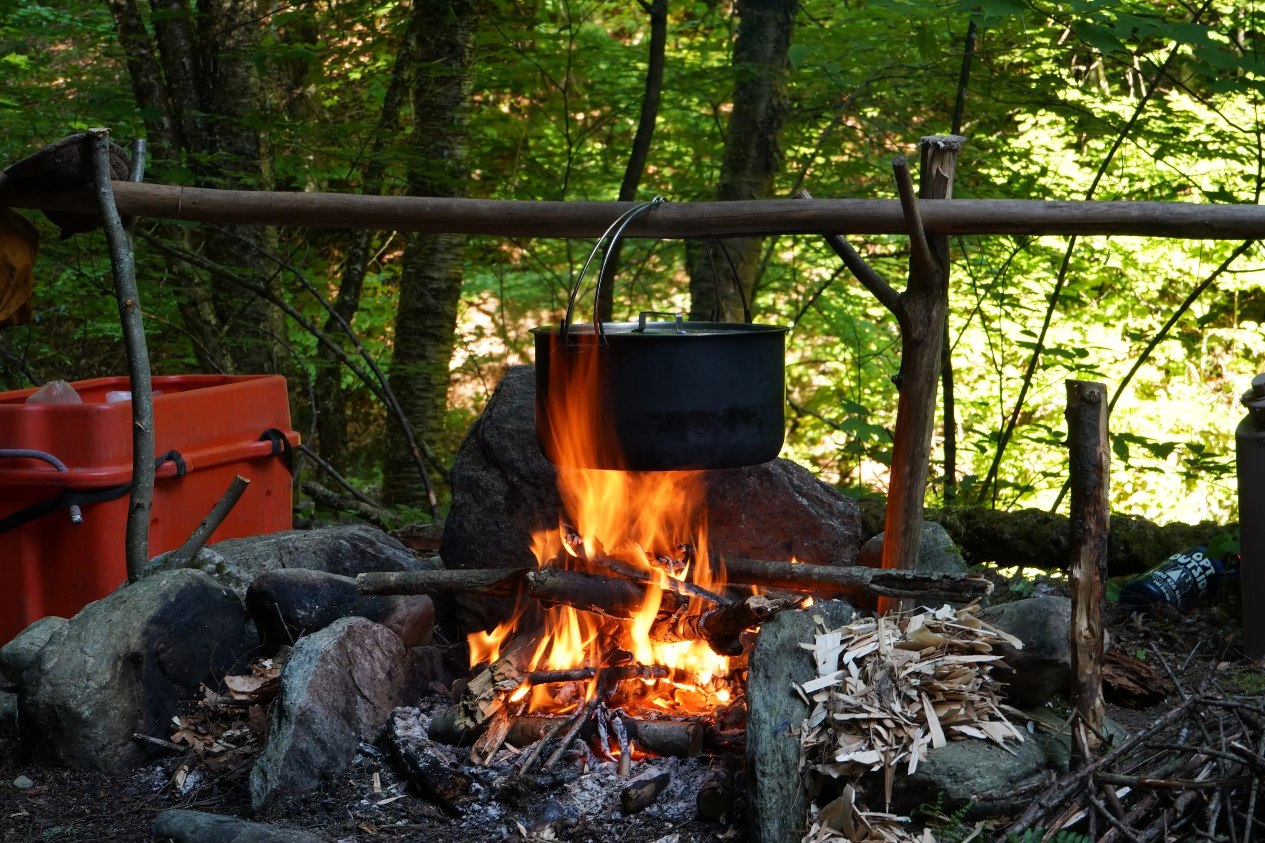 A small campfire burning surrounded by rocks in a forest, with a black pot hanging over the fire, and trees with green leaves in the background.