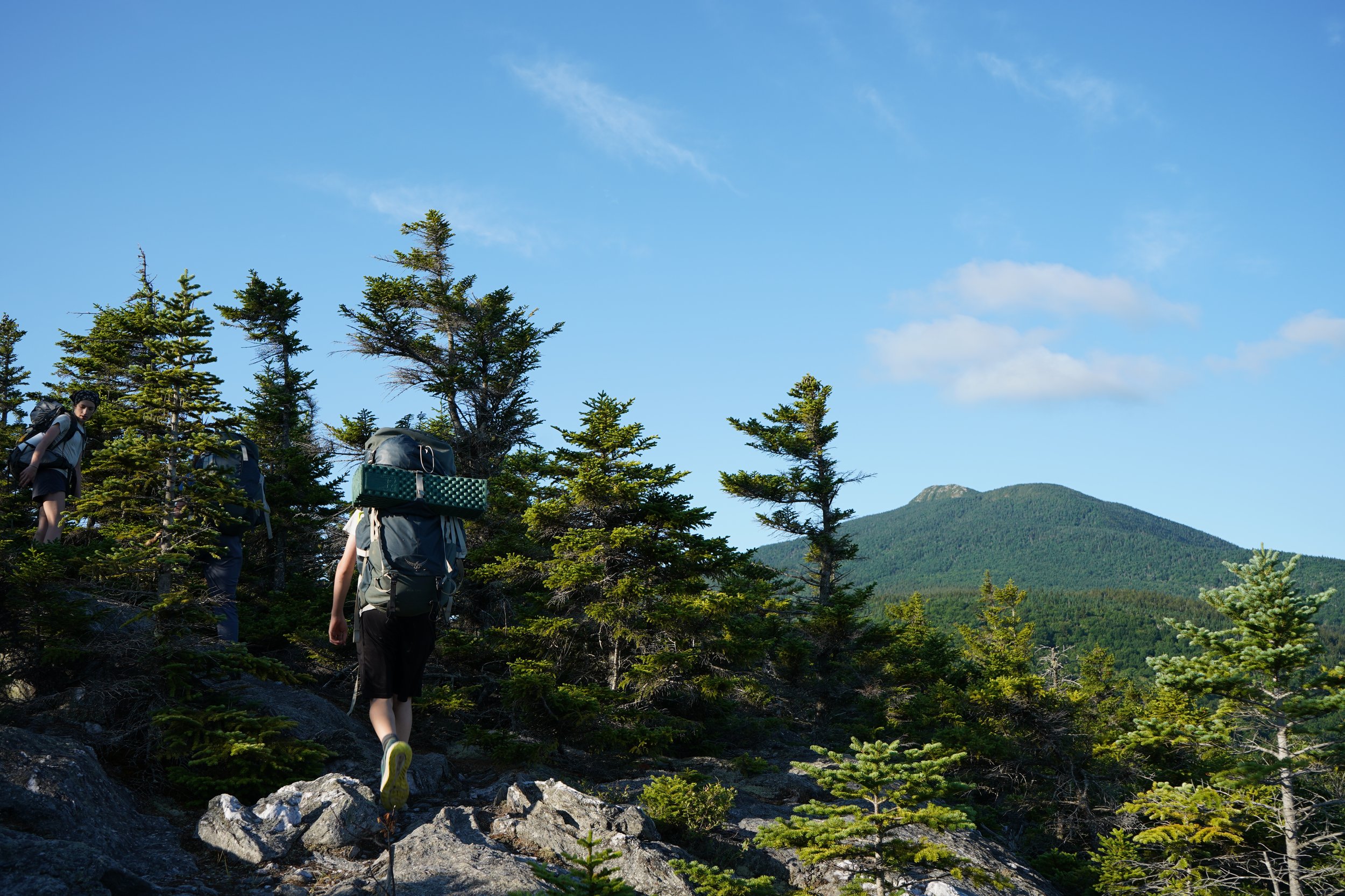 Hikers with backpacks walking on rocky trail through tall pine trees in forest with mountain in the background under blue sky.
