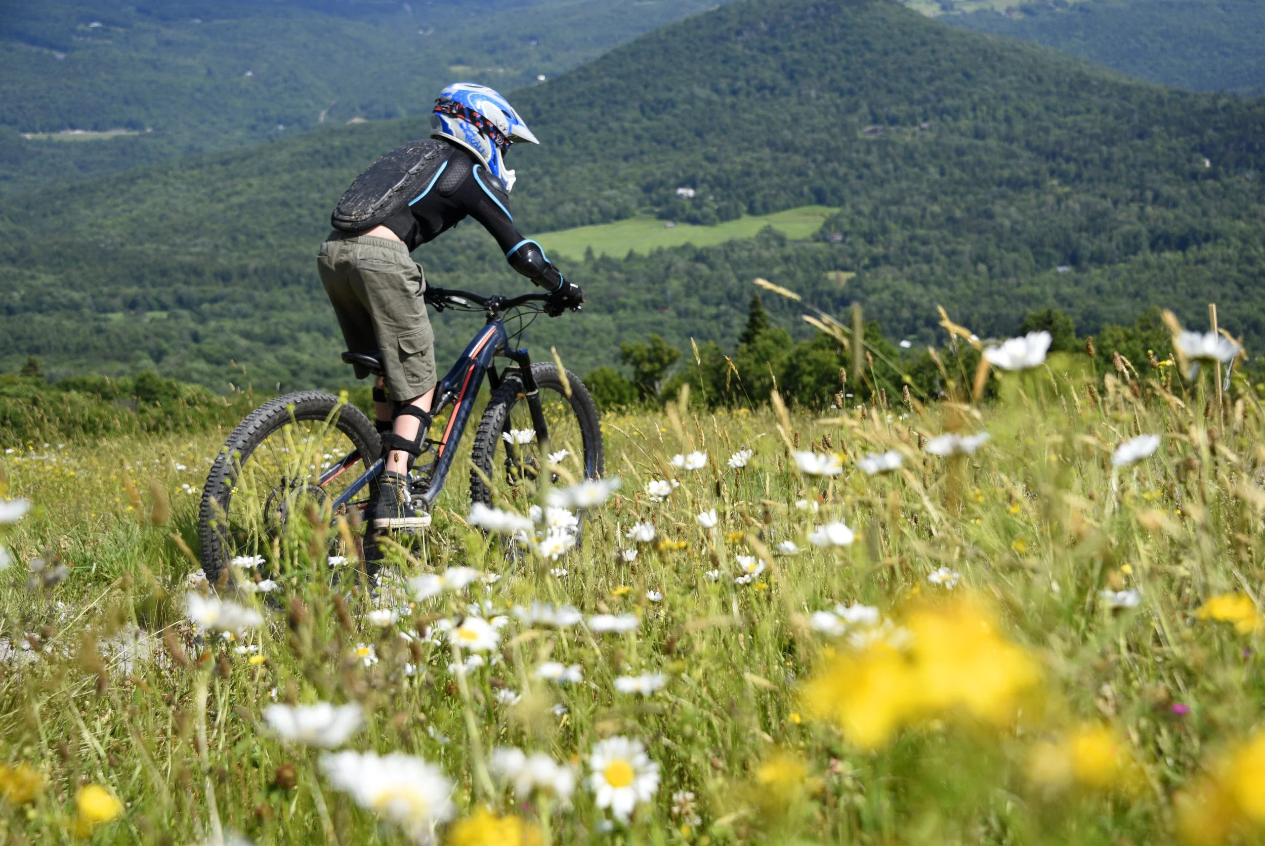 A person riding a mountain bike through a grassy field filled with white and yellow wildflowers, with rolling green hills and mountains in the background on a sunny day.